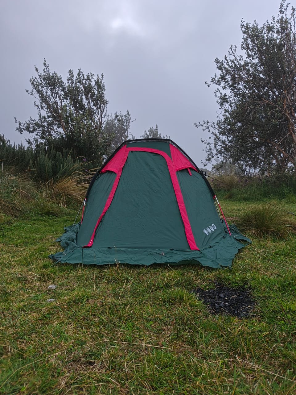 cuerdas rompevientos carpa husky 2