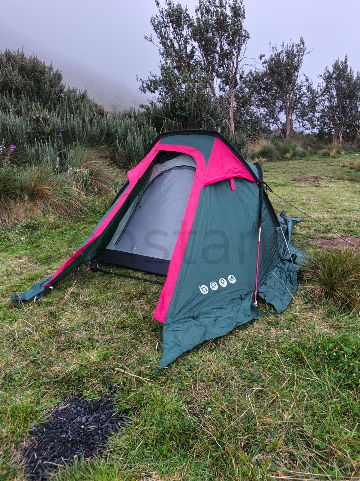 CONSTANTE CONSTANTE constante