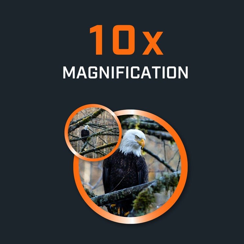 Bino Bushnell 150142R 10×42 H2O Dark Blue Roof - Imagen 6